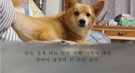 세명대 영상공모전 최우수상은 박은성 ‘감자의 전설’