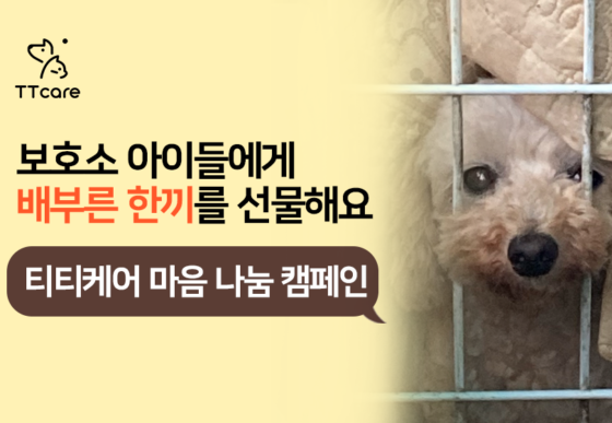 “따뜻한 한끼”…티티케어, 마음 나눔 캠페인