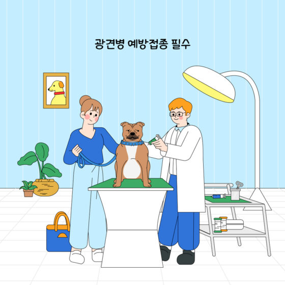 가을철 반려동물 광견병 예방접종 시즌 돌아왔다