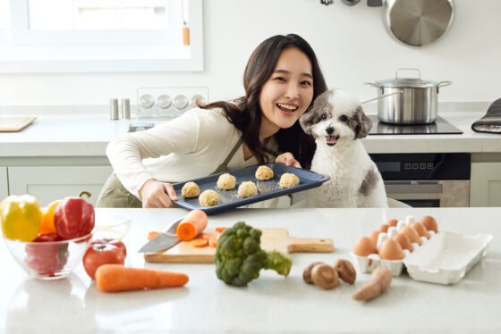 【펫푸드 팩트체크】①북어, 과연 보양식인가?