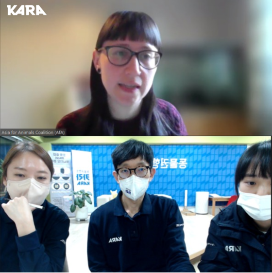 동물판 N번방, 세계 동물단체들이 함께 찾아낸다